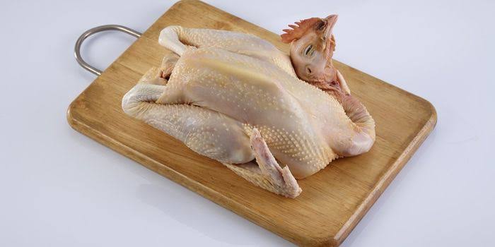 Ayam Joper